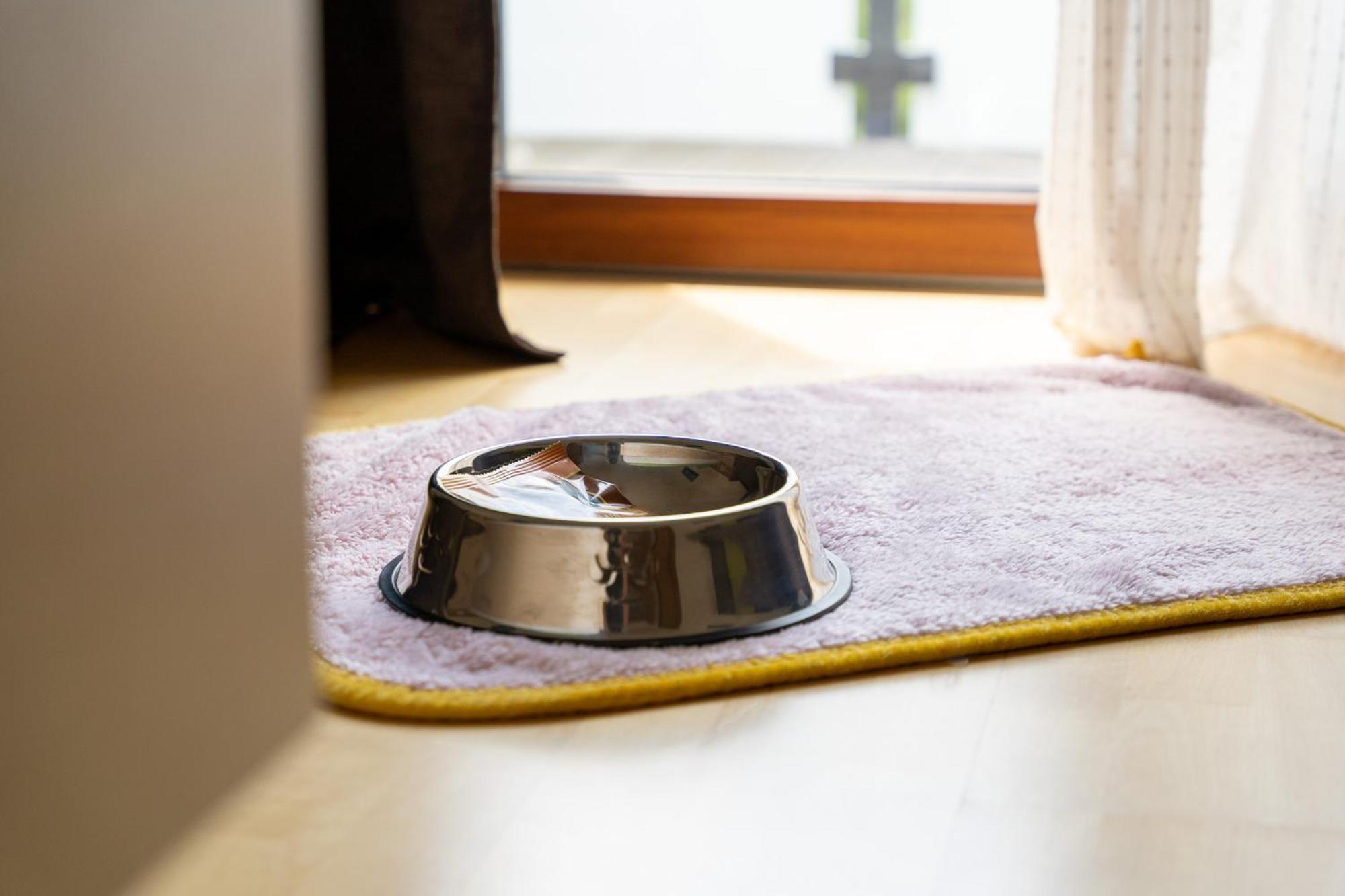 Apartment Annemarie ツェル アム ゼー エクステリア 写真